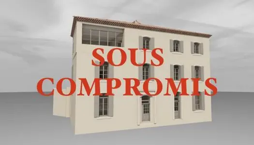 Sérignan-du-Comtat, Projection sur une rénovation 