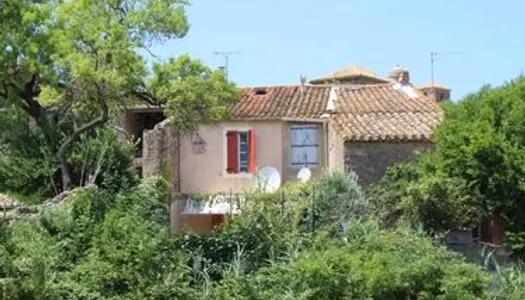 Maison vigneronne avec jardin terrasse à la vue dégagée 