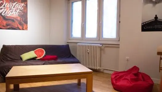 Très bel appartement clair au calme RDC surélevé situé à la krutenau ,2 rue de Bienne 