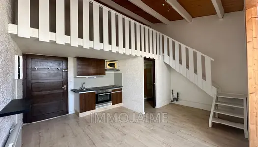 EXCLUSIVITE - STUDIO MEZZANINE - SAINT-CYPRIEN PLA