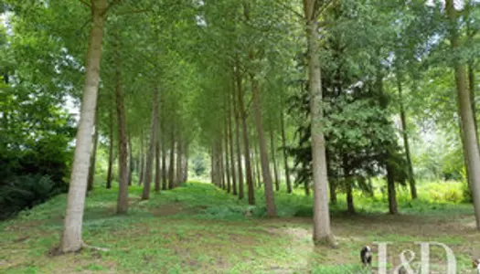 Terrain de Plaisance à Belle Vigne les Châteaux 