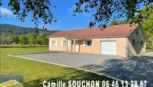 MAISON PLAIN PIED, ANNEE 2000, TERRAIN, DEPENDANCE, PIECE DE VIE OUVERTE, CHEMINEE, ARBRES, PLAN 