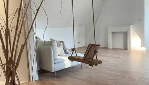 Appartement rénové belle hauteur sous plafond 