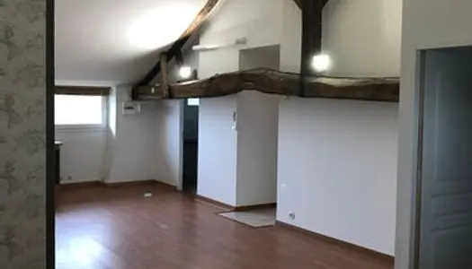 Appartement spacieux T2 