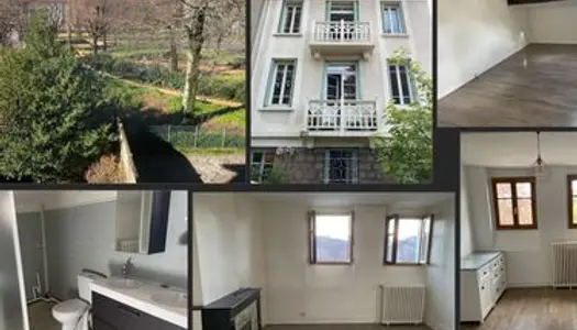 Appartement T2 dans maison bourgeoise 53m2 en face parc de Firminy 