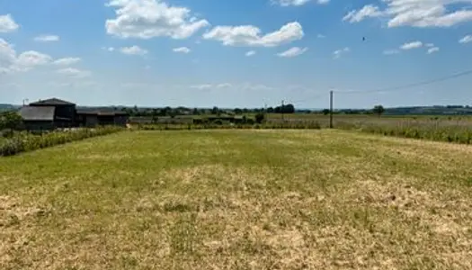 Jolie terrain avec plantation et vue sur l'estuaire