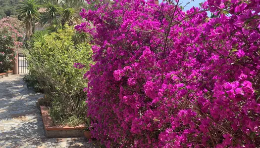 Vente Maison - Villa Banyuls-sur-Mer