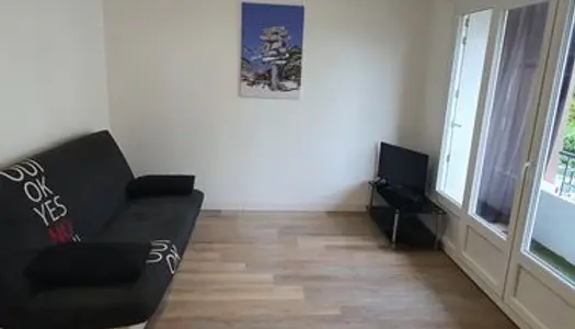 Appartement entièrement refait 31 m2 