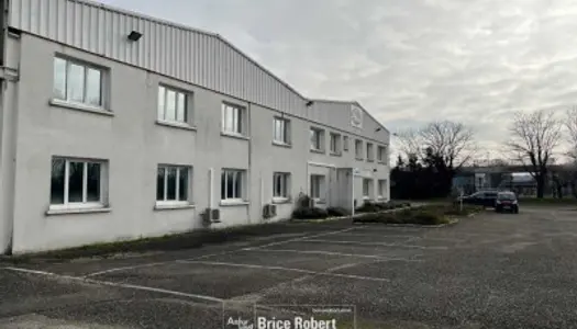 Local commercial 16900 m² 