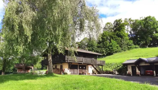 Neuvecelle - Chalet avec vue Lac panoramique - 3 chambres 