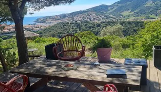 Terrain 3000 m² Banyuls-sur-Mer 