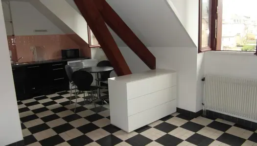 Appartement 1 pièce 25 m²