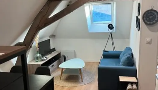 Appartement récent 35 m2 