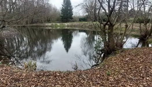 Terrain de loisirs avec étang