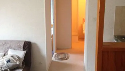 Appartement F1 meublé à louer