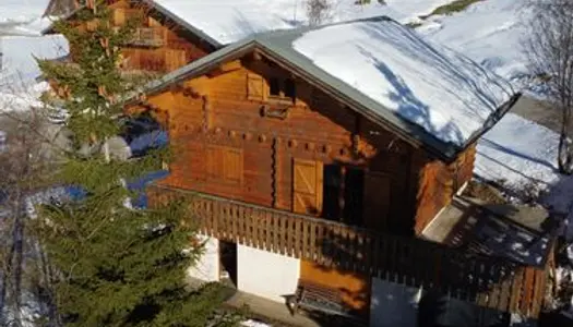 Chalet individuel madrier aux saisies avec garage et acces simple 