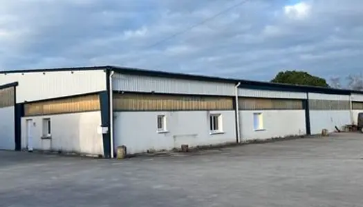 Bâtiment industriel 540 m2 - Vair sur Loire - Anetz