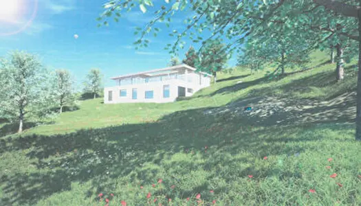 Terrain 6562 m² 