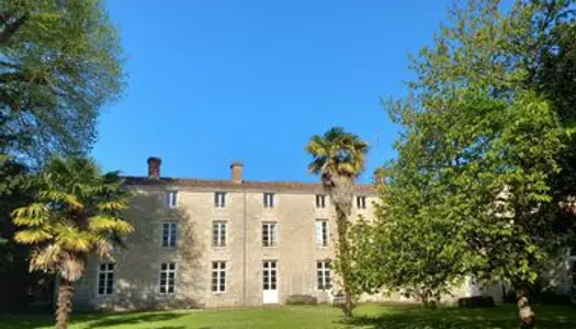 Hôtel particulier en plein centre dans un parc d'un ha 