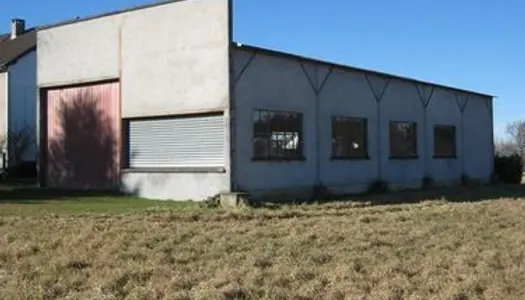 Hangar avec terrain constructible 
