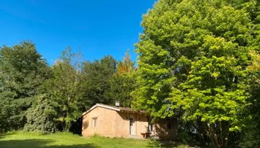 Agréable maison sous les arbres 