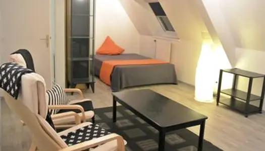 COLMAR, grand F1 MEUBLé, 32m2 très lumineux