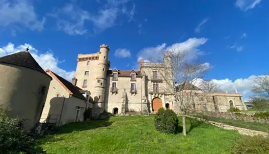 Dpt Côte d'Or (21), à vendre sud de Beaune château 11 pièces de 350 m² - Terrain de 4 123