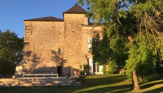 A vendre Château du Périgord Noir 
