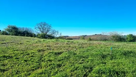 Terrain Vente Castillon-Savès  1000m² 95000€