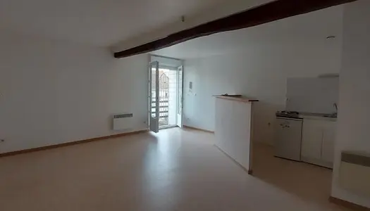 Appartement 1 pièce 56 m²