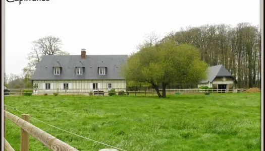 Maison Vente Bacqueville-en-Caux 5p 150m² 403000€