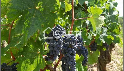 Vente de 1,74ha de vignes et de terres AOC 