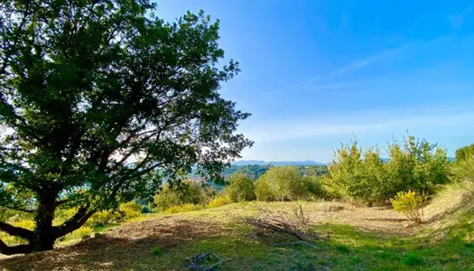 Vente Terrain 950 m² à Montauroux 38 000 €