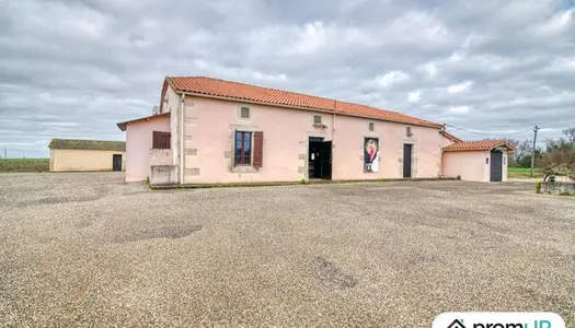 Local commercial 320 m²