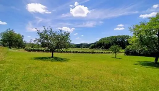 Terrain constructible avec vue sur les vignes 