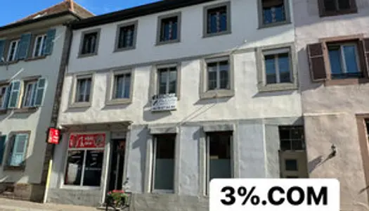 3%COM Immeuble pour investisseur au centre de HOCHFELDEN 