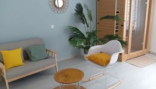 Appartement T2 meublé entièrement rénové en 2020 + Terrasse + Garage 