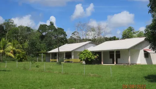 Dpt Guyane: terrain à vendre