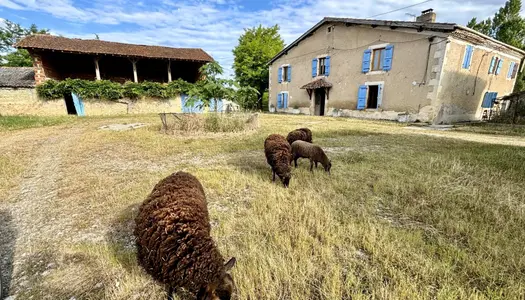 FERME ET DEPENDANCES EN PIERRE SUR UNE PARCELLE D'ENVIRON 1 HECTARE. . 