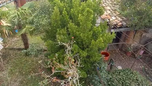 SÉMALENS, deux Maisons de village avec jardin clos