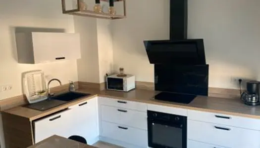 Appartement T3 meublé refait à neuf dans résidence 