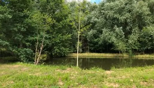 Terrain de loisir avec étang à Montfort le Gesnois