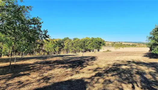 Terrain 3559 m² 