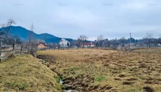 Terrain à Bran, Roumanie