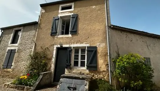 Maison de charme T2 104 m² ST LOUP SUR AUJON avec grand jardin 