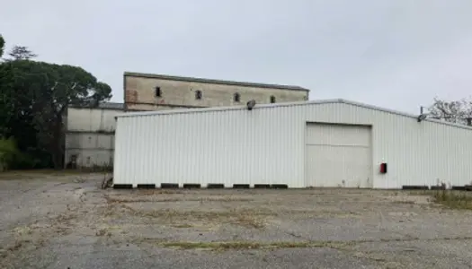 Local commercial 7000 m²