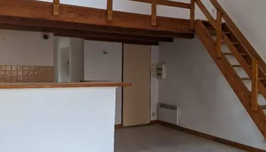 Appartement avec mezzanine et cave 