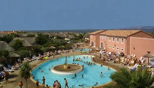 Mas des pêcheurs 4/6 personnes en bordure du lac marin avec piscine ! 