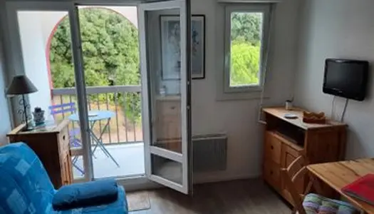 Studio 1 pièce 17 m2 avec balcon