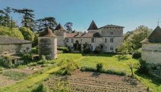 Superbe Château médiéval chargé d'histoire entouré de plus de 200 hectares 